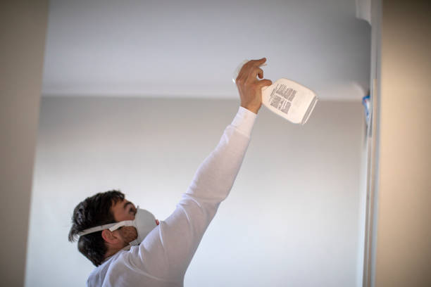 Best Black Mold Remediation in Belmont, CA