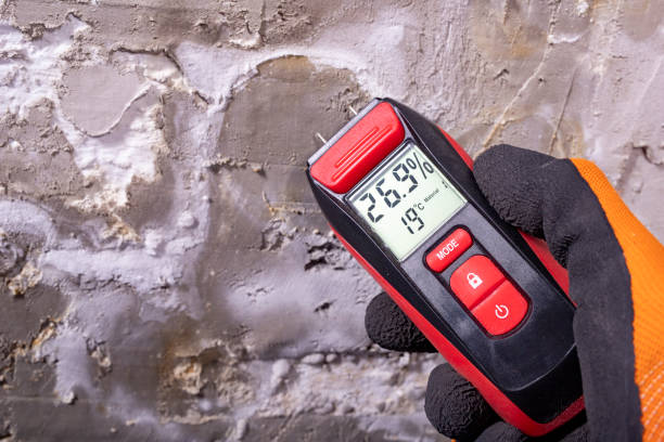 Best Industrial Mold Remediation in Belmont, CA