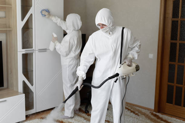 Best Emergency Mold Remediation in Belmont, CA